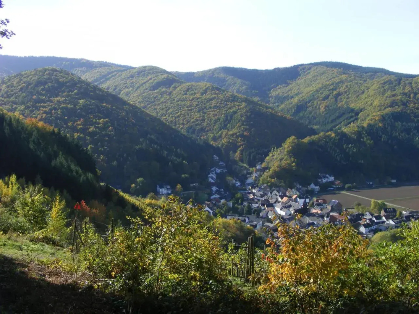 Gasthaus Sebastian 1520