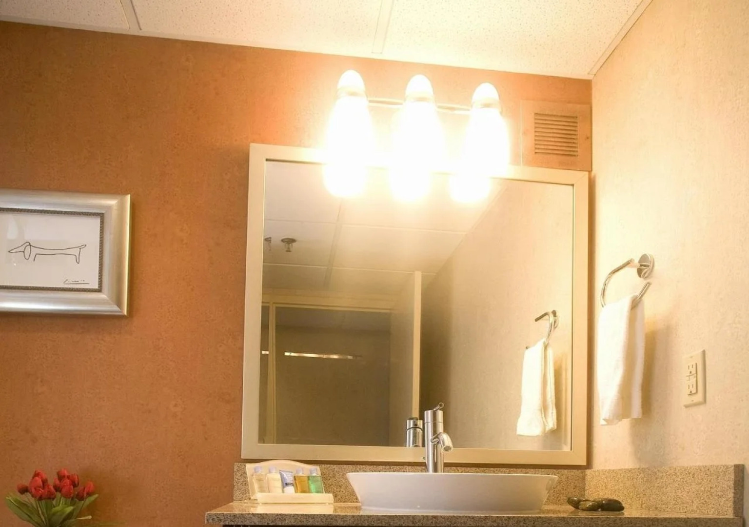 DoubleTree by Hilton Springfield