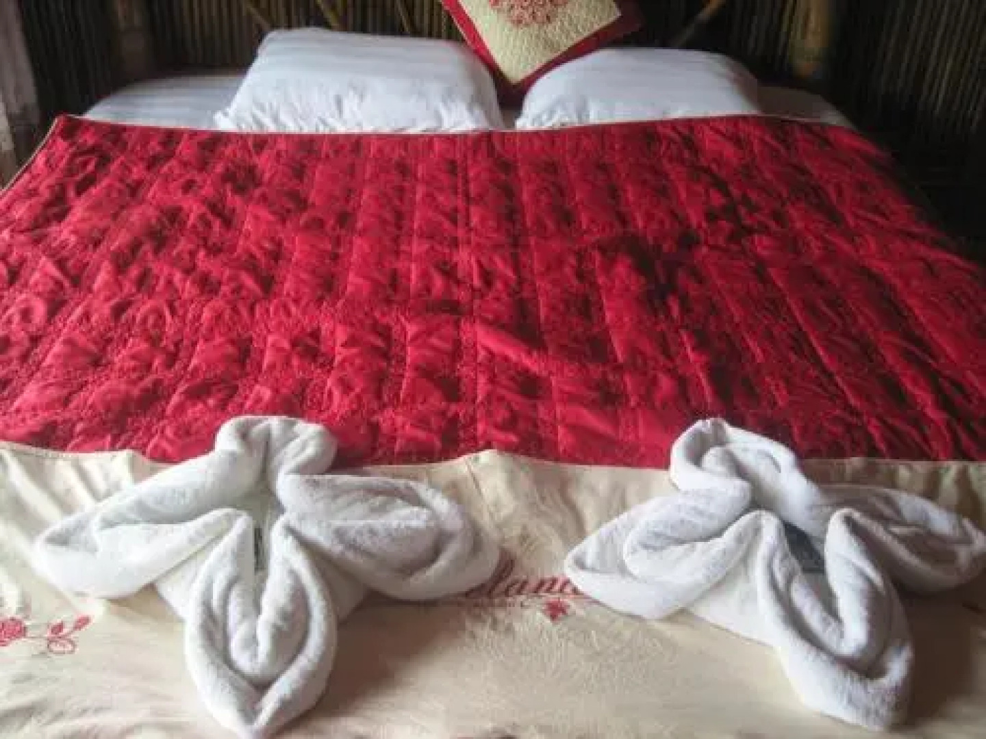 Eco Homestay - Hostel