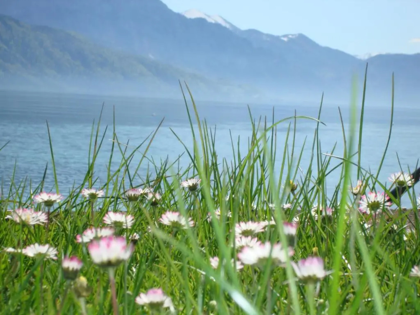 Hotel Seegasthof Oberndorfer