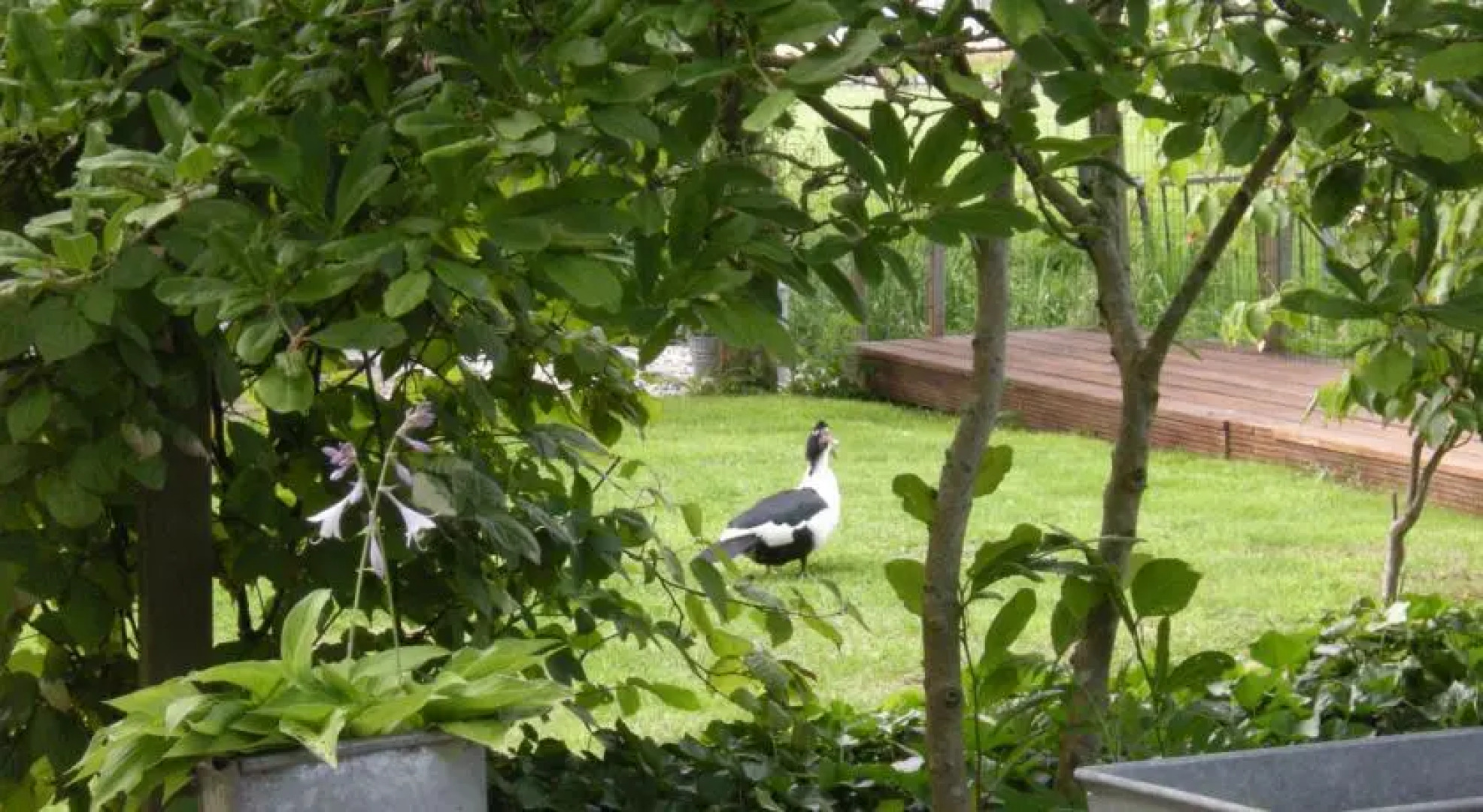 B&B Logeren aan de Amstel