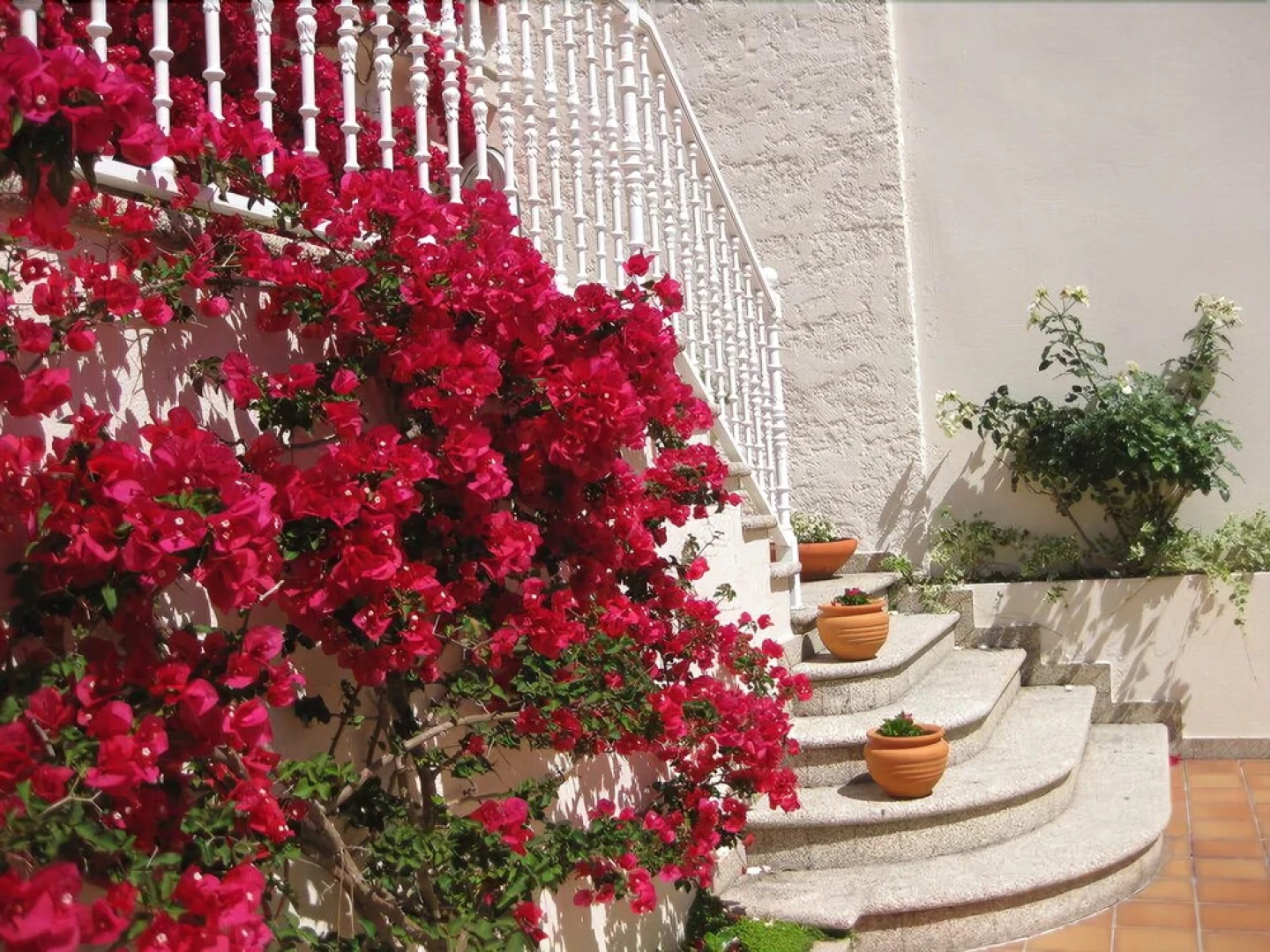 Apartamentos Marítimo - Sólo Adultos