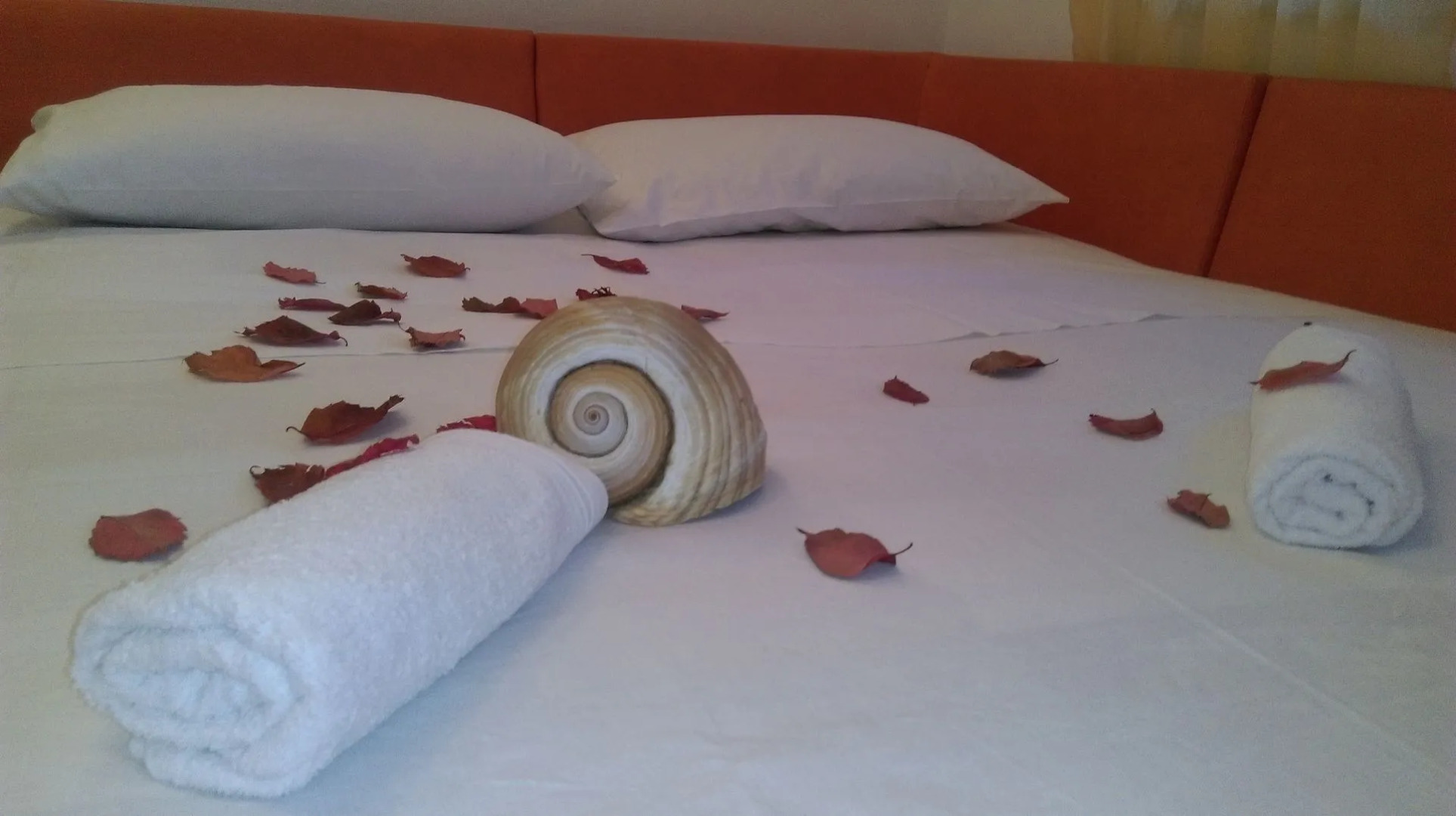 Apartment Rest - comfortable & close to center: A1 Bol, Island Brac