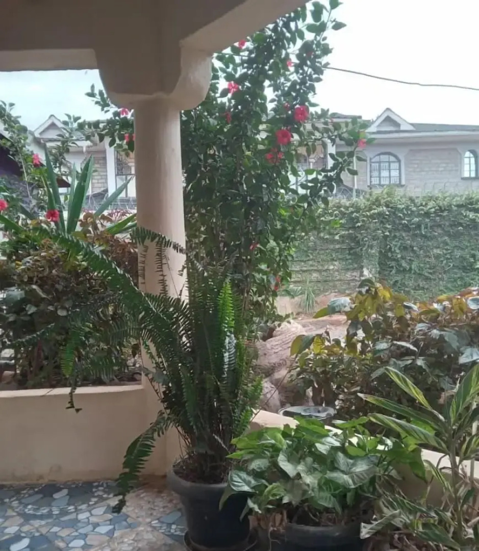 Caren Cottages & Airbnb Kitale