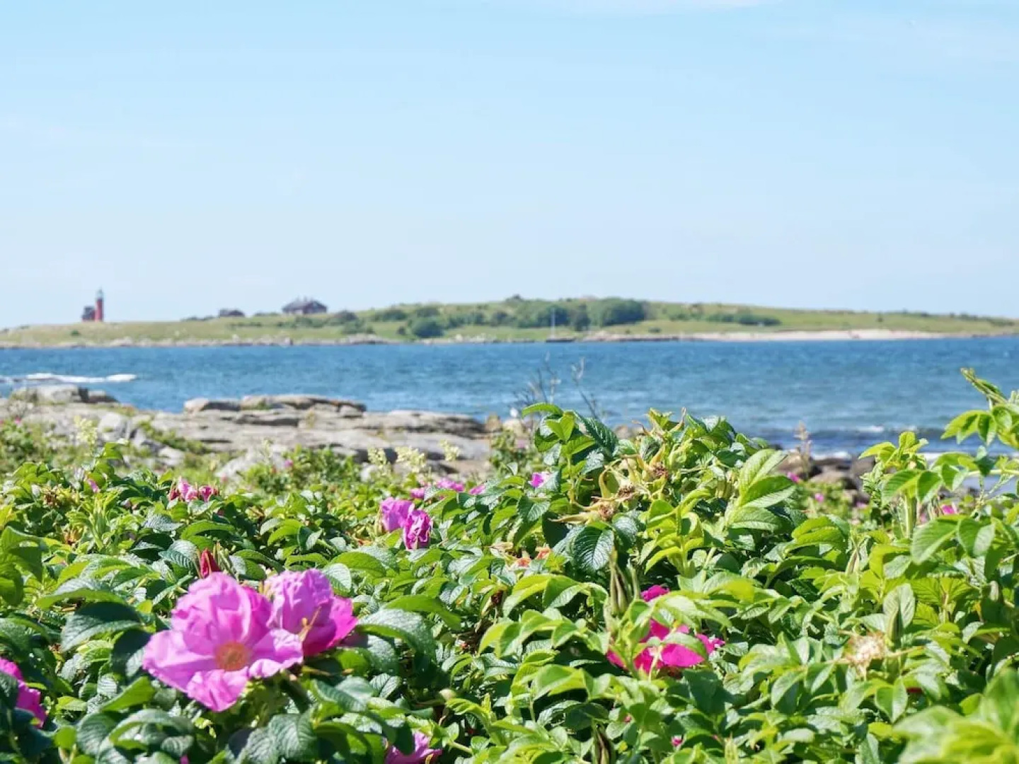 4 Person Holiday Home in Halmstad-by Traum