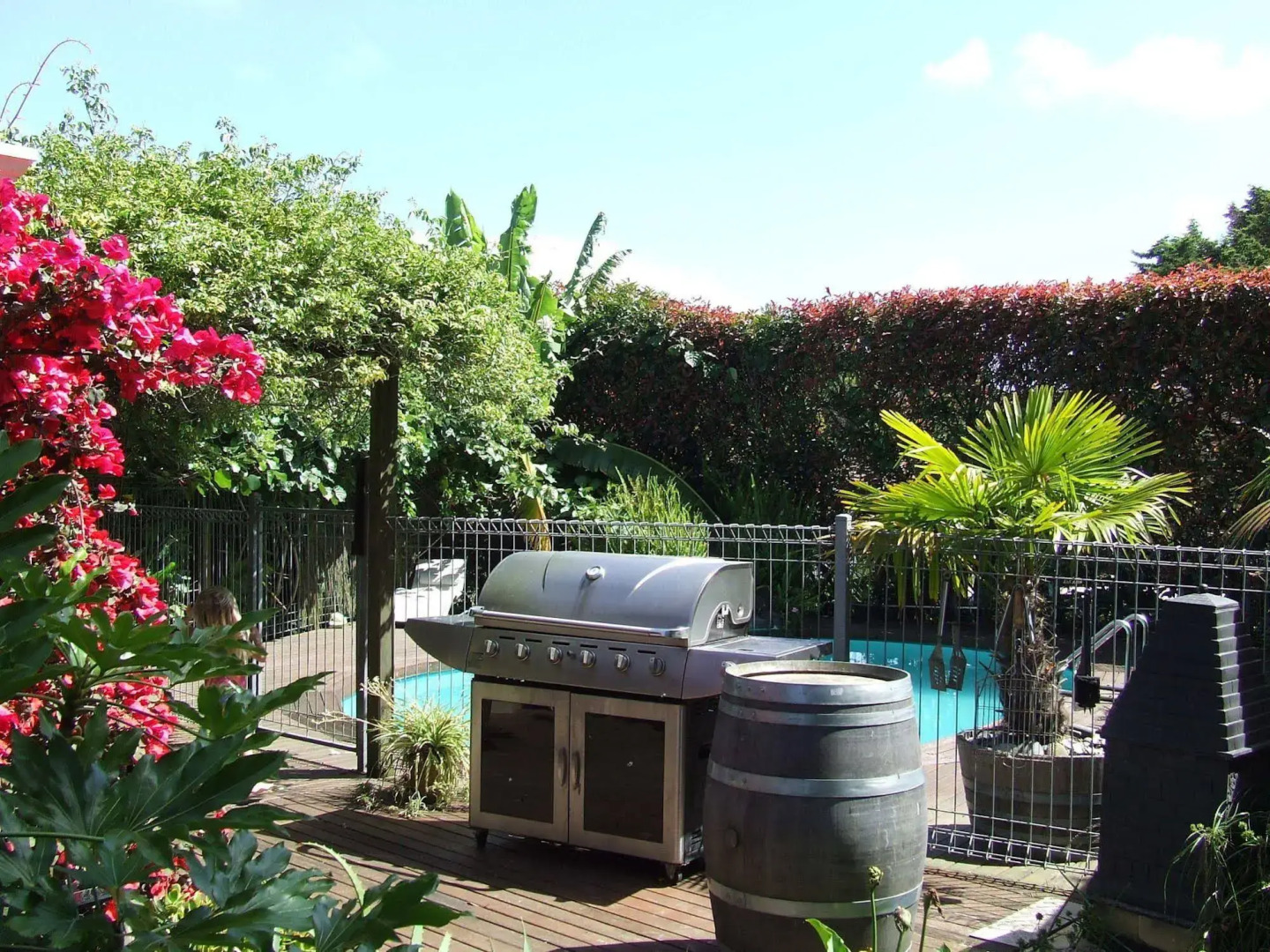 Runciman Berries and Emus B&B