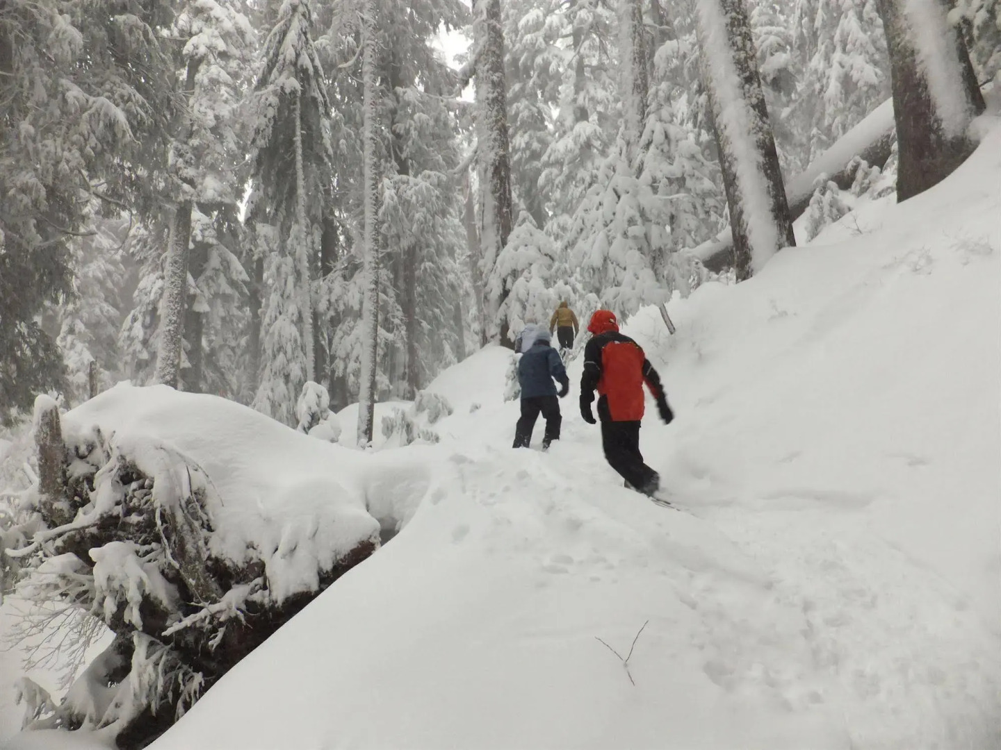 North Vancouver Hotel