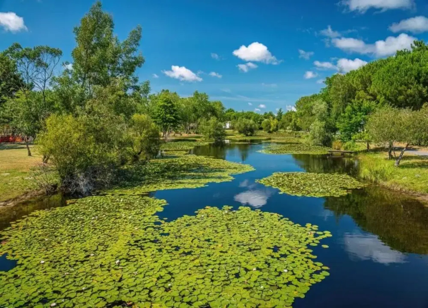 Lakeside Stay w/ Terrace