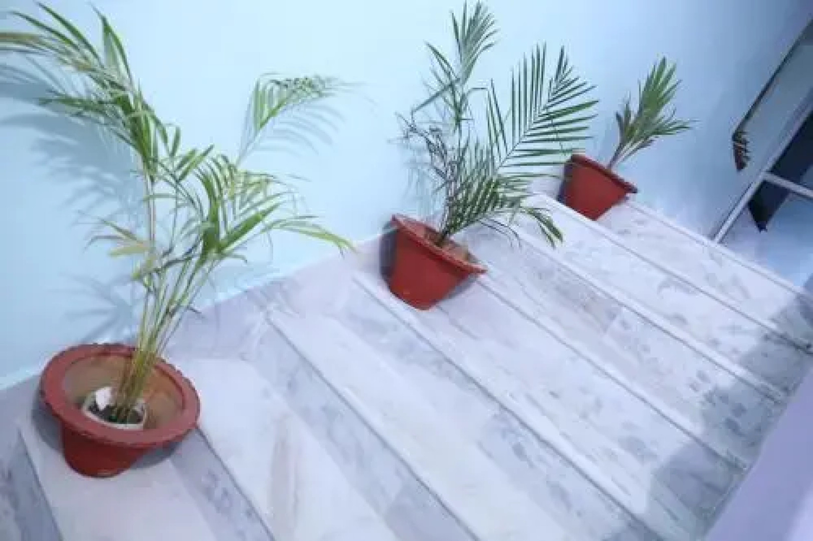 Hotel Comfort International