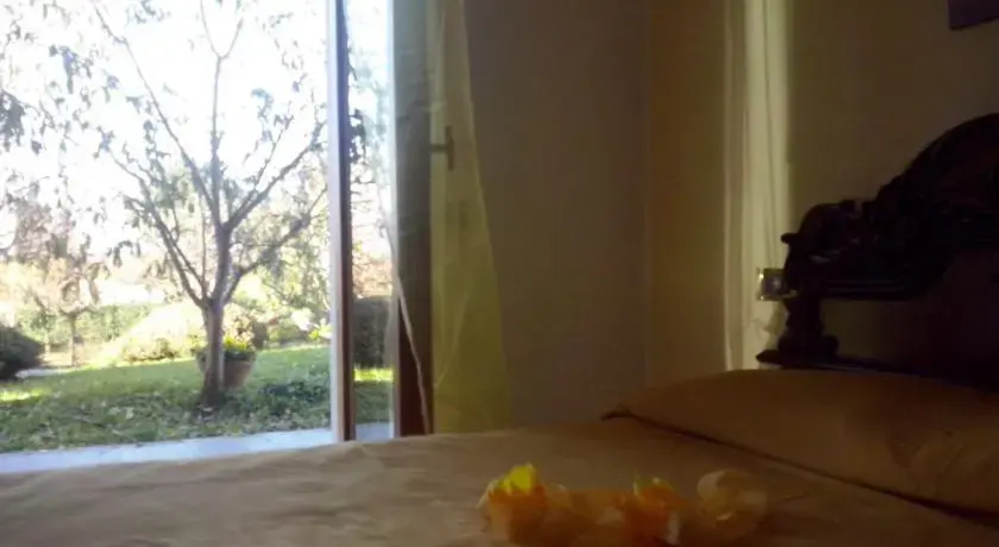 La Zucca Matta