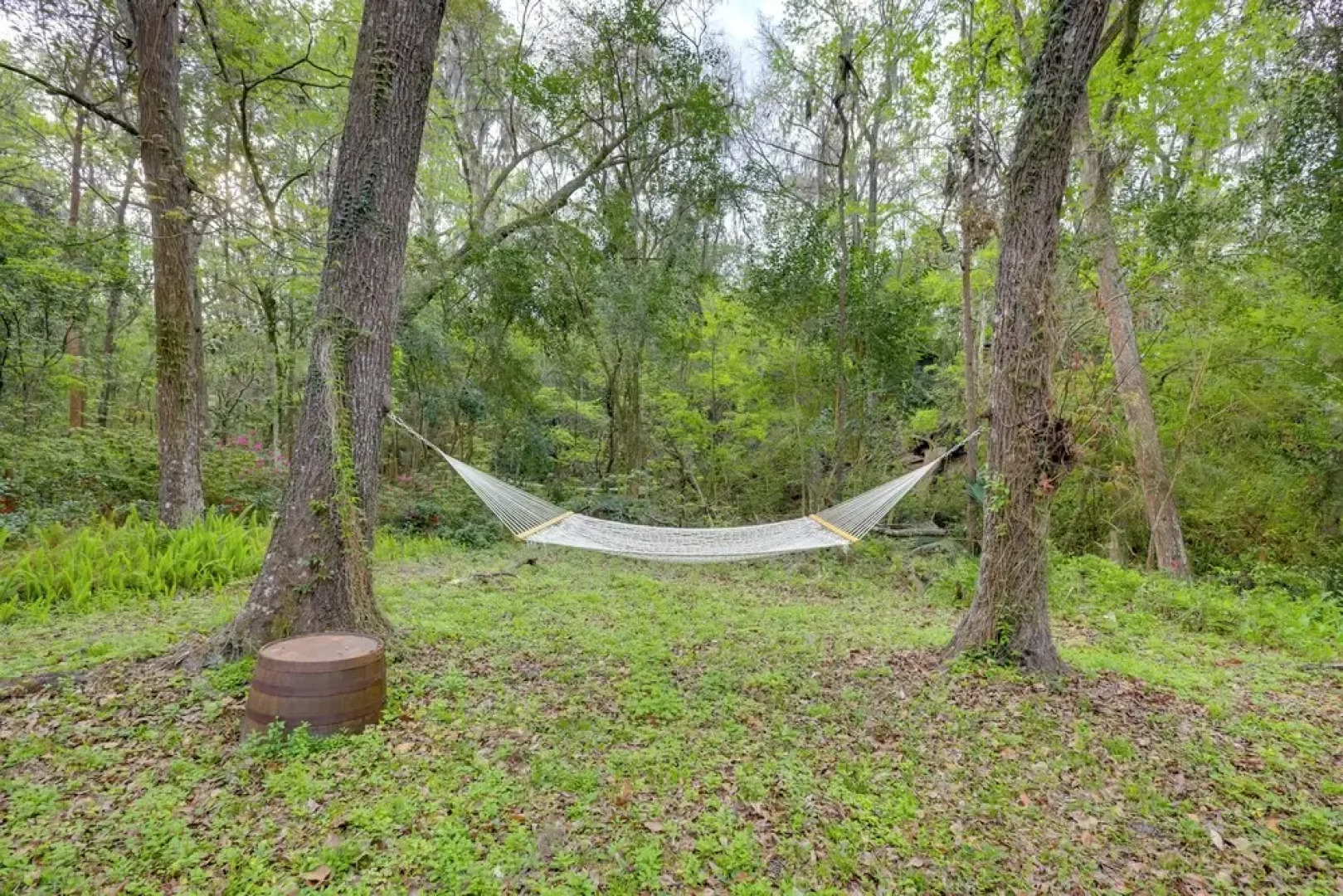 Vacation Home Rental in Gainesville, Florida!