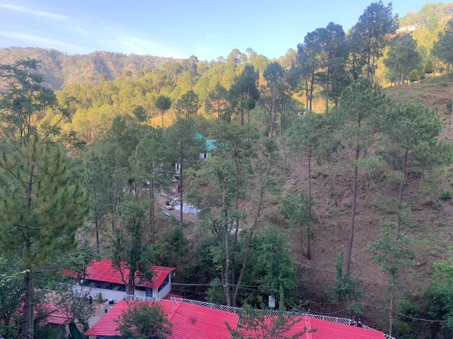 Pine Trails Jungle Camp