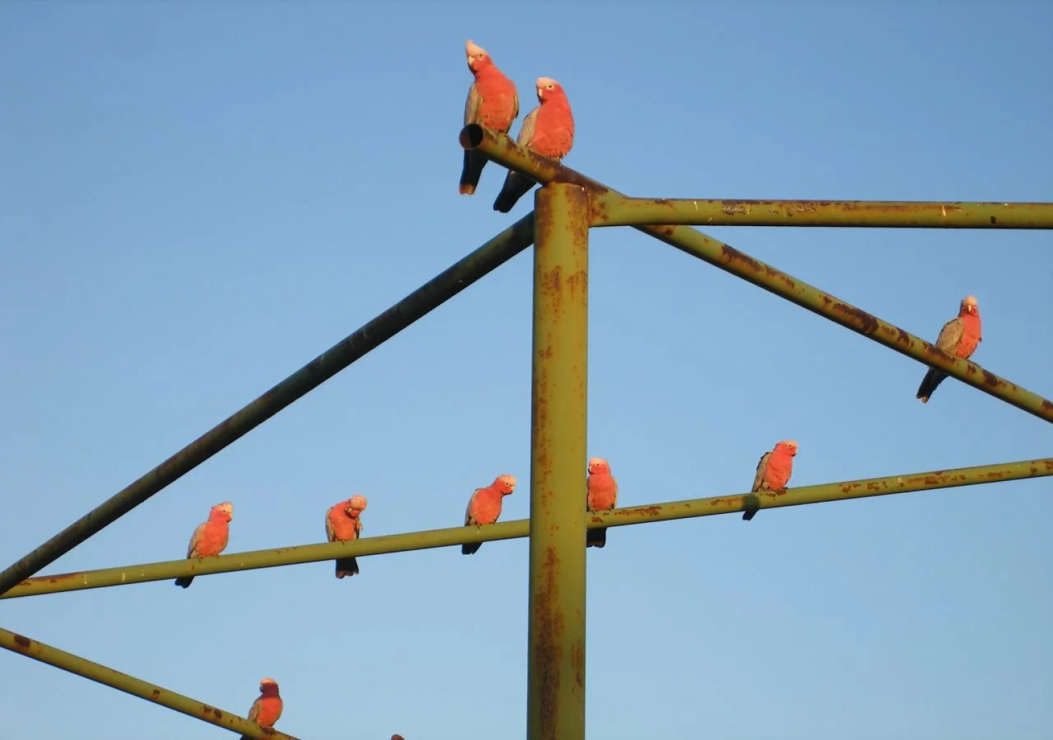 Ningaloo Bed and Breakfast