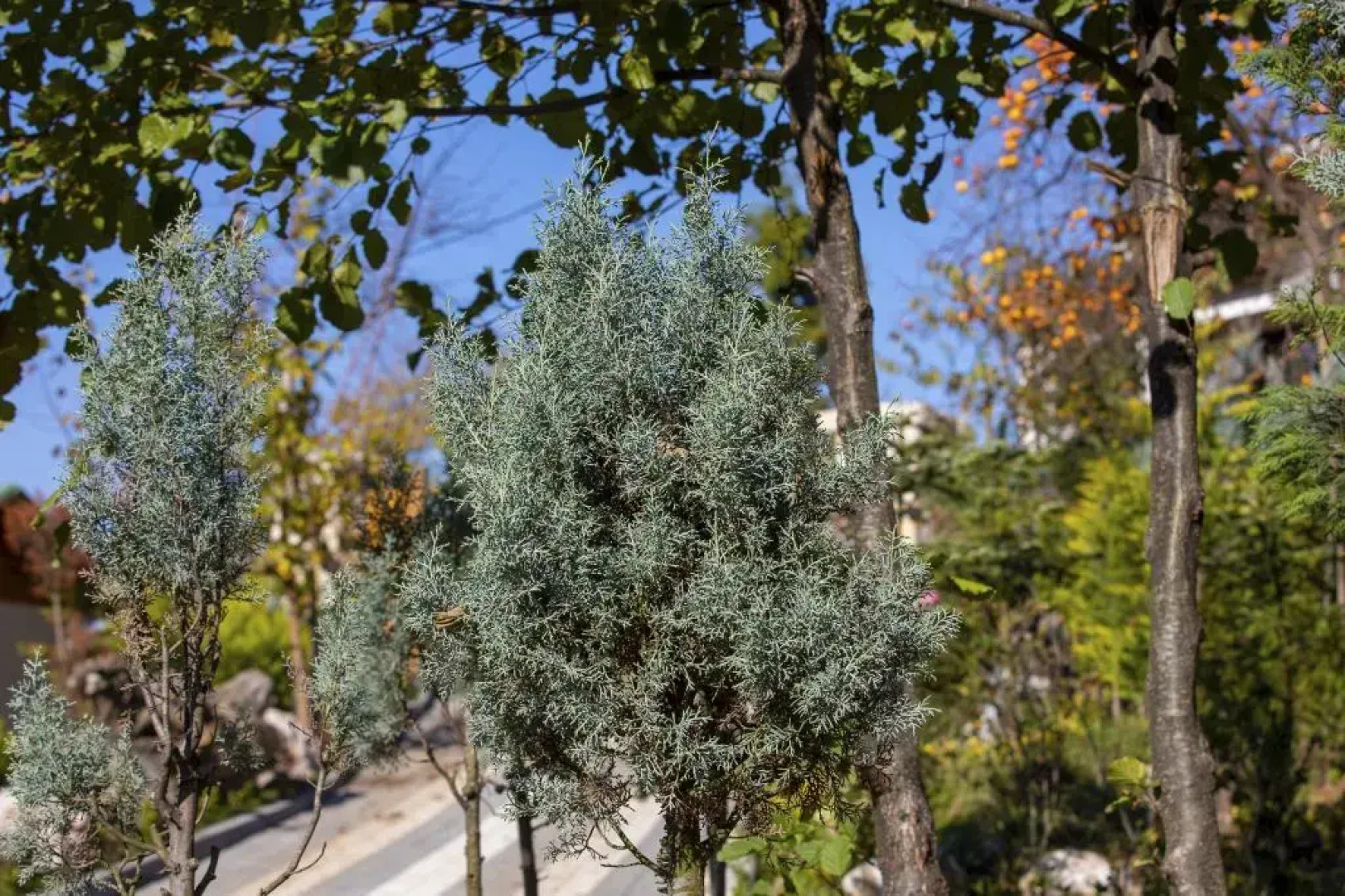 The Canyon Kartepe and Restoran