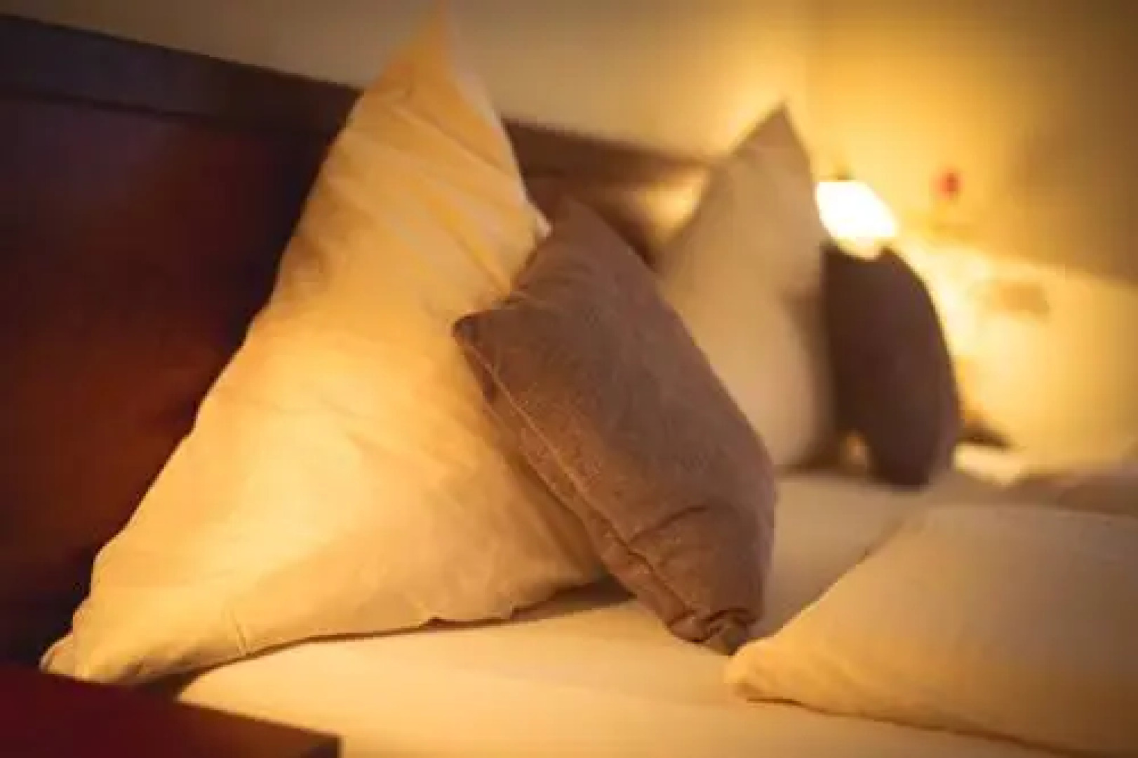 Hotel-Restaurant 1735