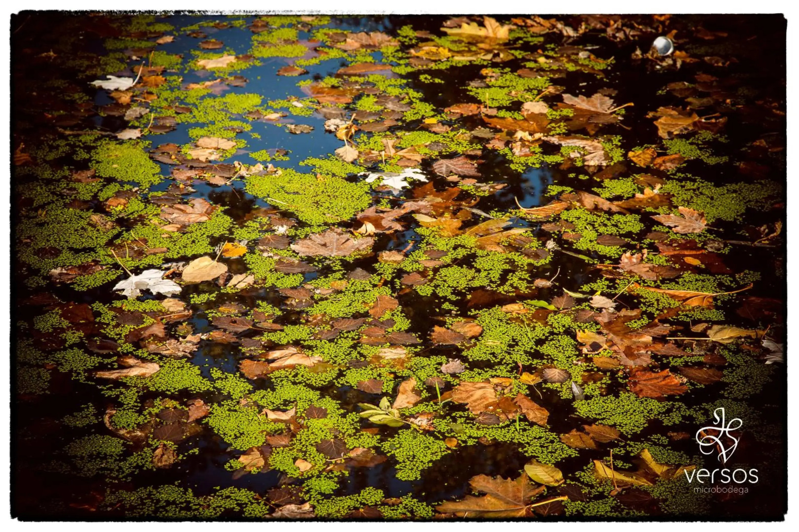 Posada Real Abadia San Martin