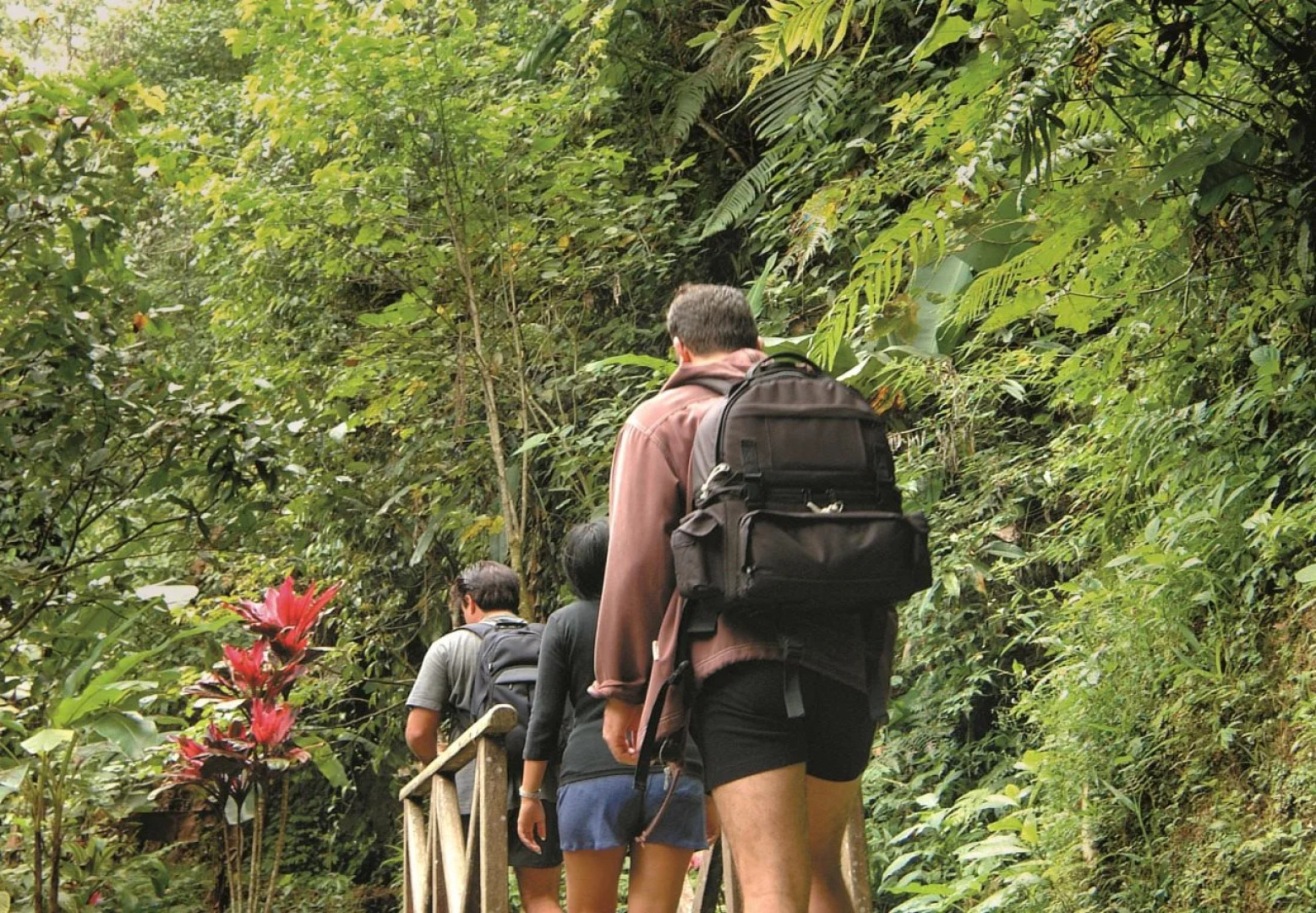 Bagus Jati Health & Well Being Retreat