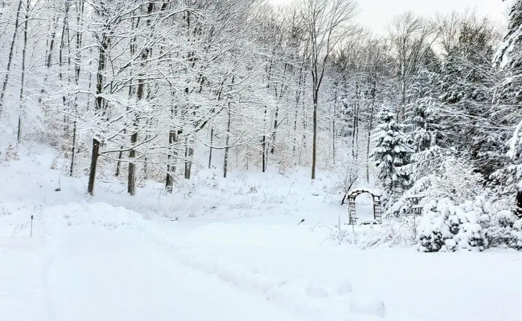 Winter Lore in Mendon