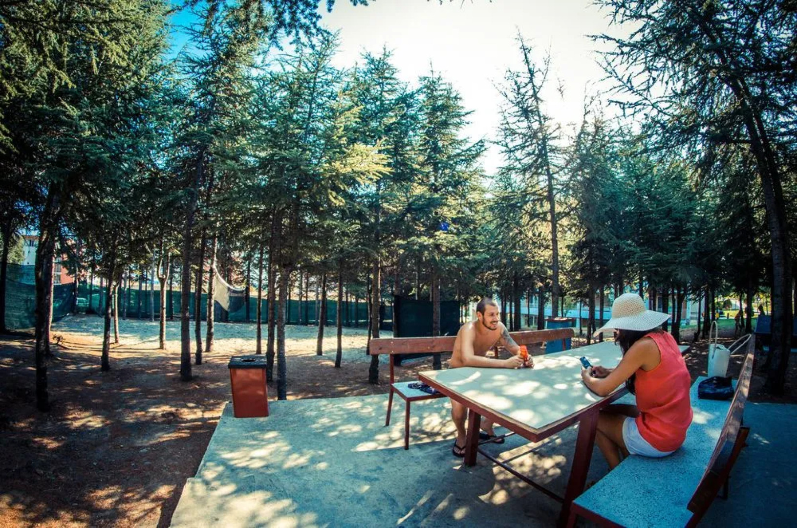 Crown and Imperial Clubs