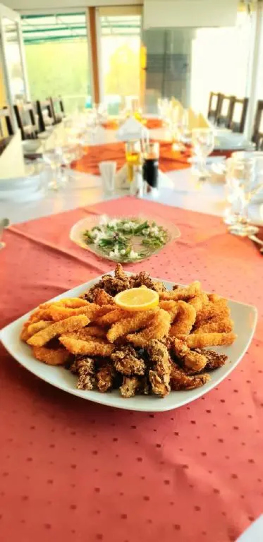 Hotel Plutitor Delta Ways