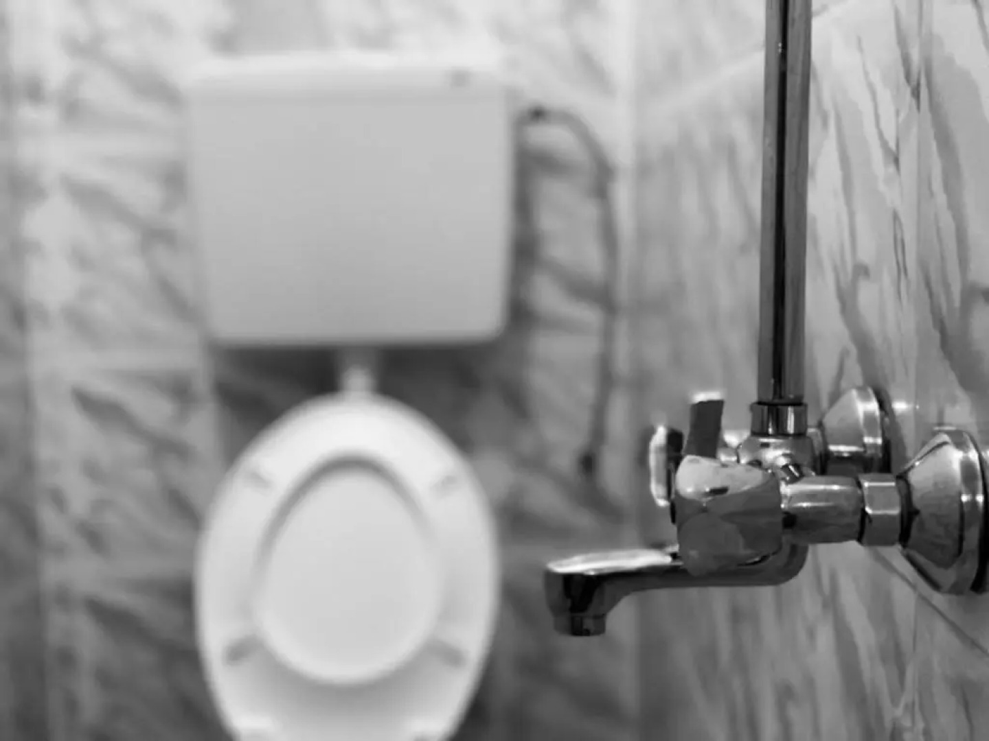 Mohammed Bungalows and Restaurant