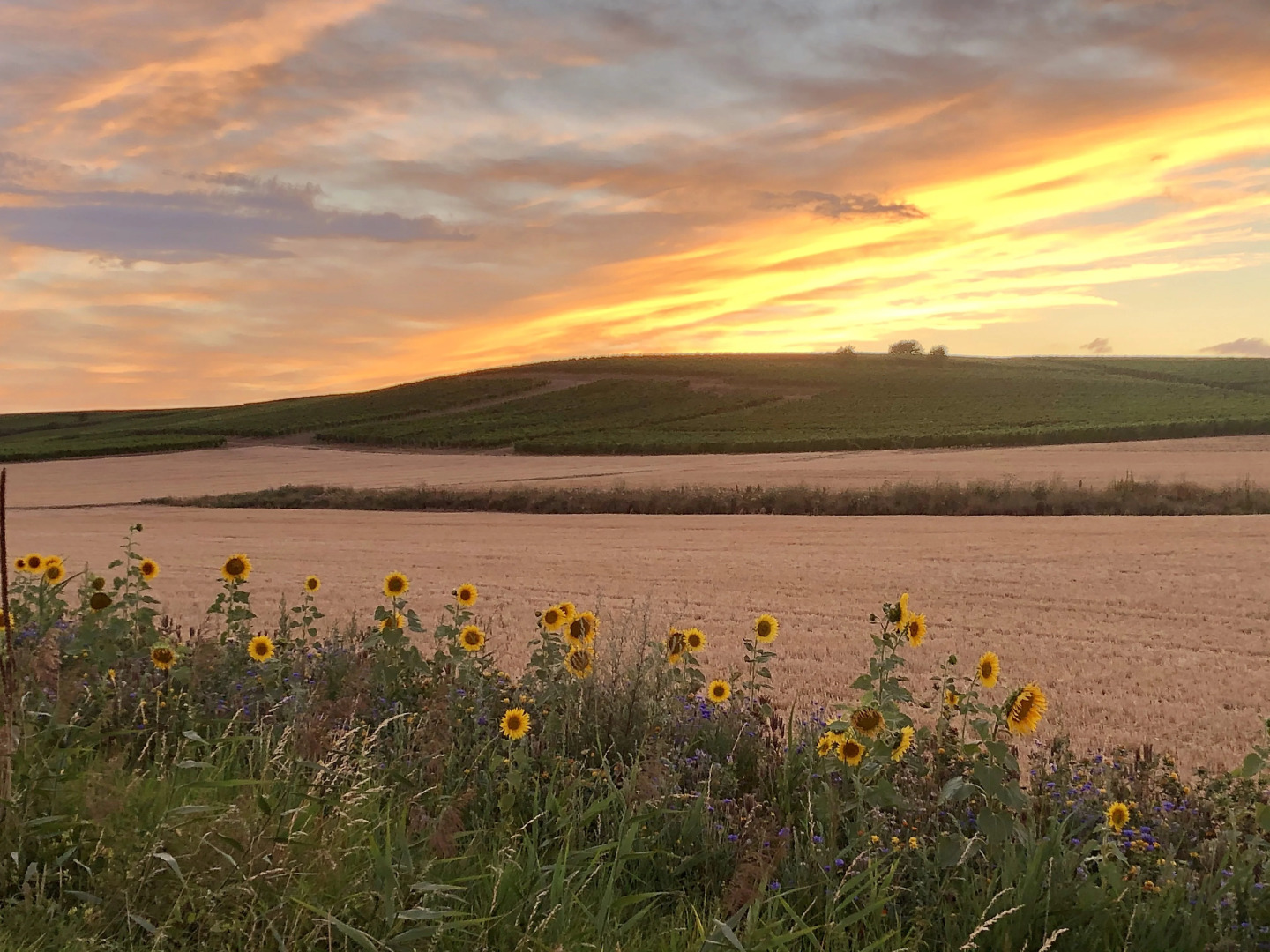 Hotel Und Weinstube Lehn
