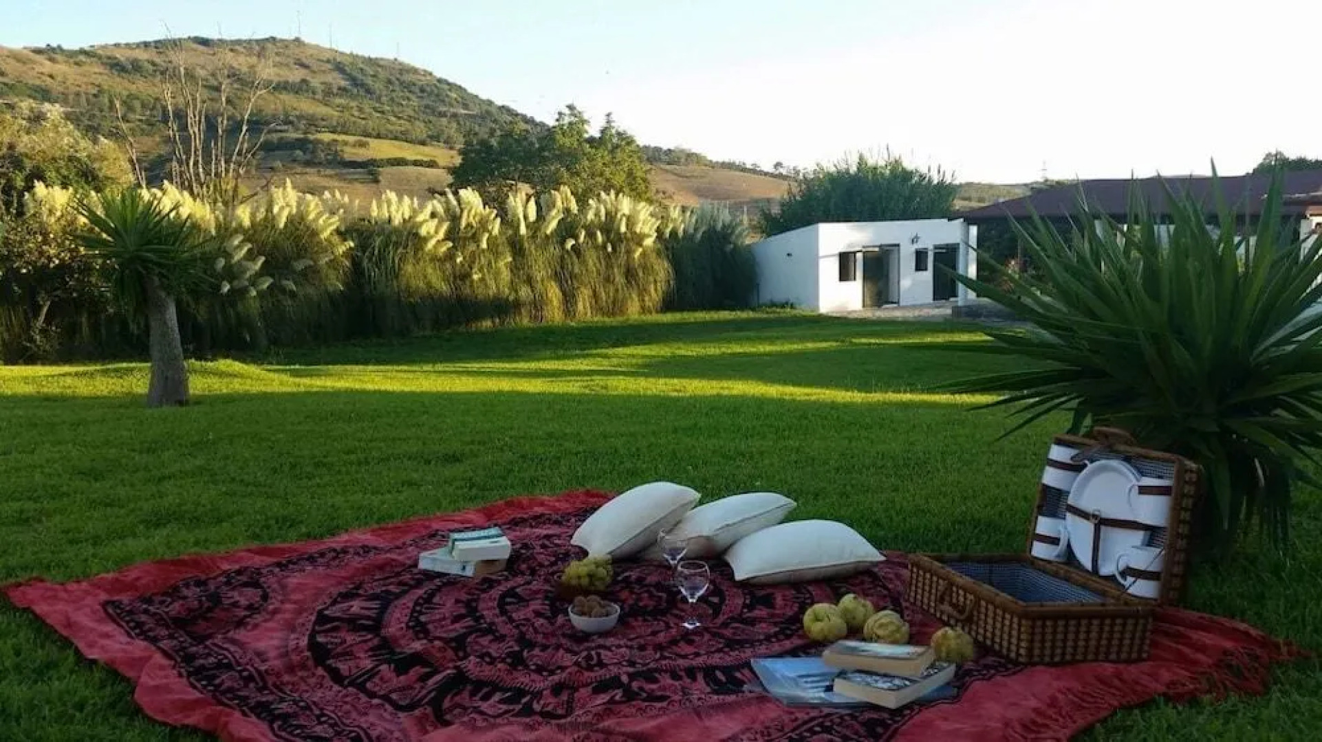 Hacienda Santa Lucía