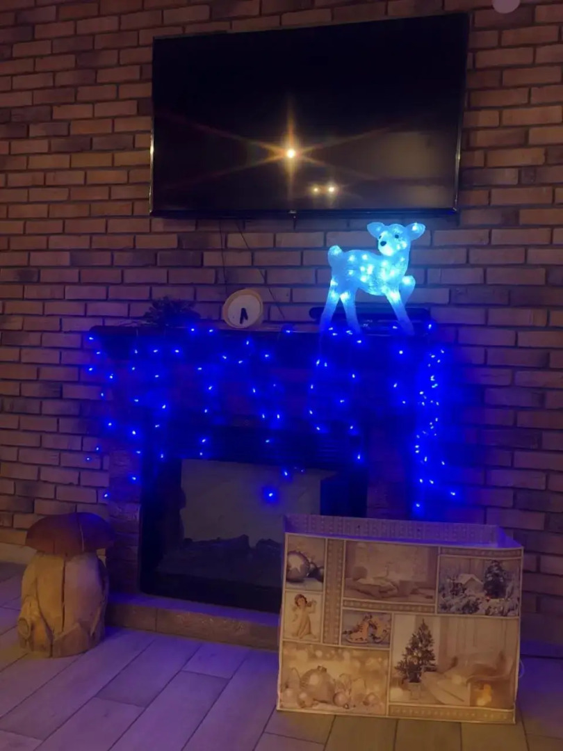 Avino Apart - Hostel