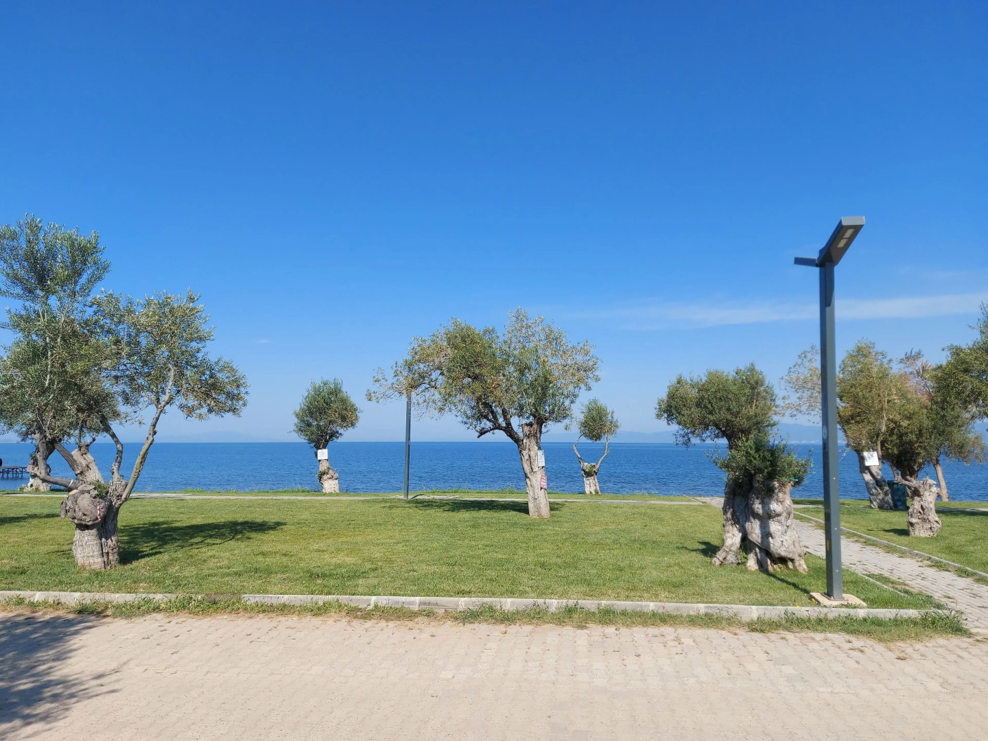 Thassos Apart Otel