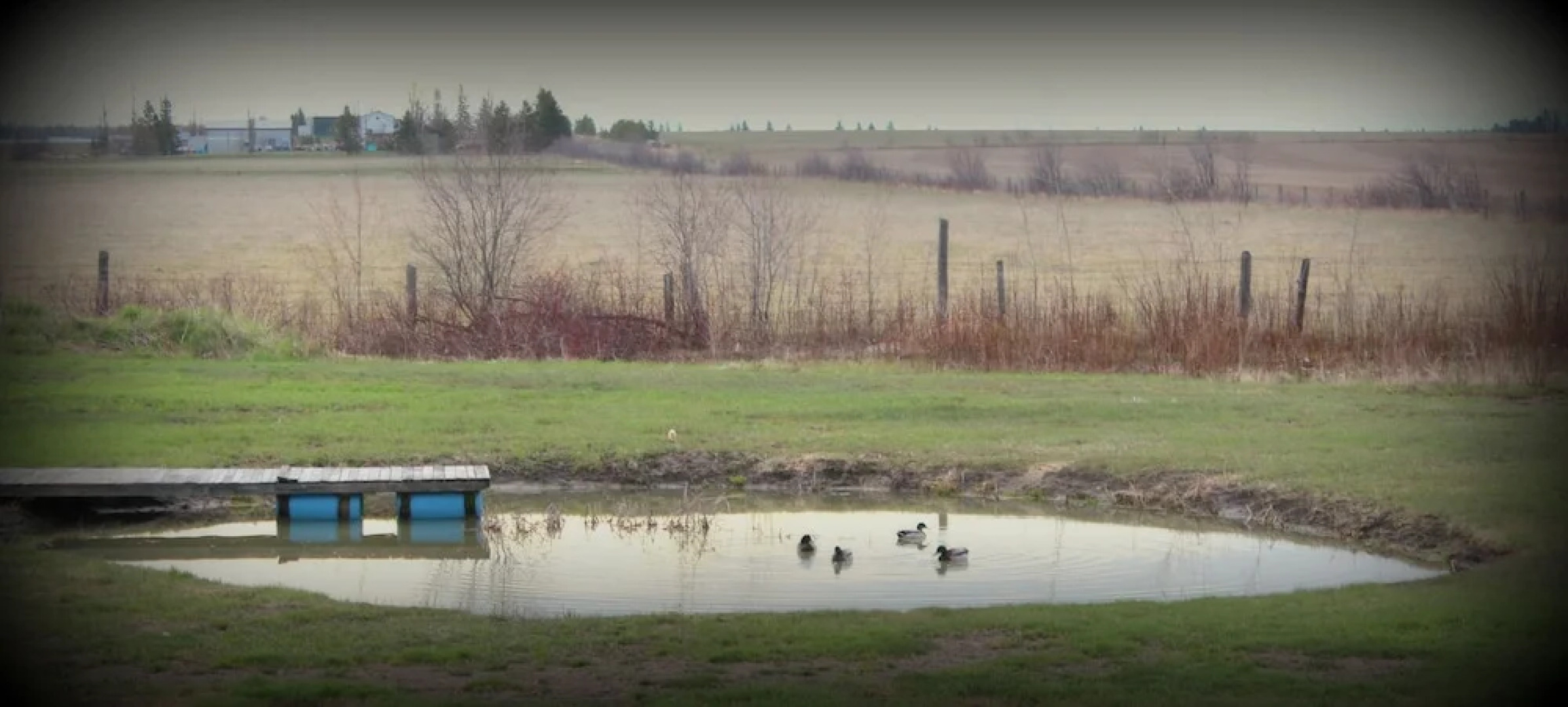 Marcy's Bed & Breakfast