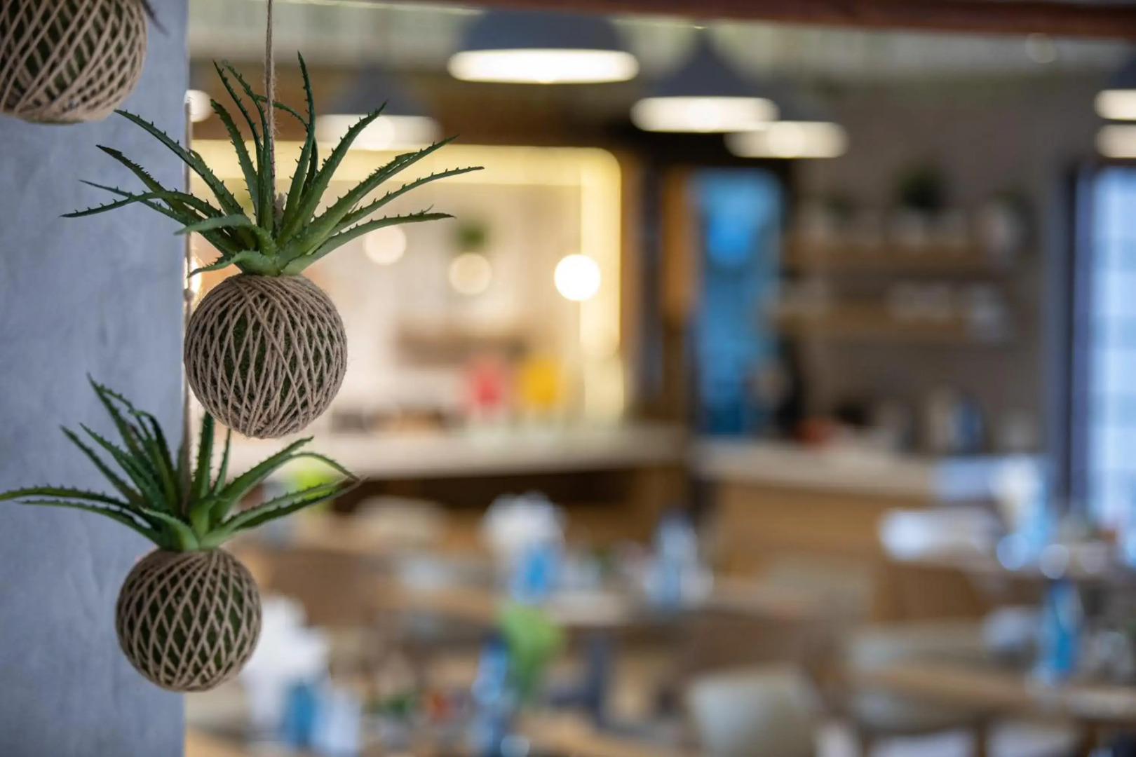 The Cycad Lodge & Chalets