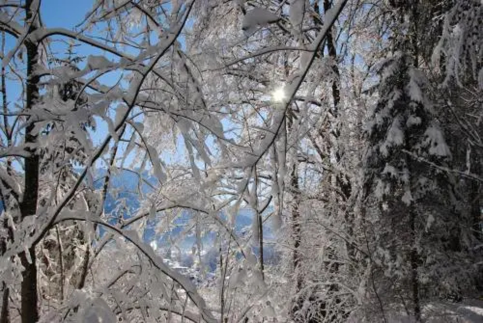 Gästehaus Fliegender Drache