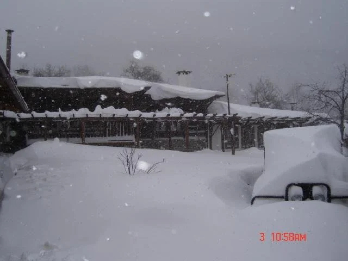 The House With The Vine Guest House