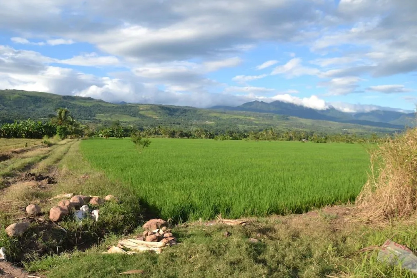 Hotel Suyox Tarapoto