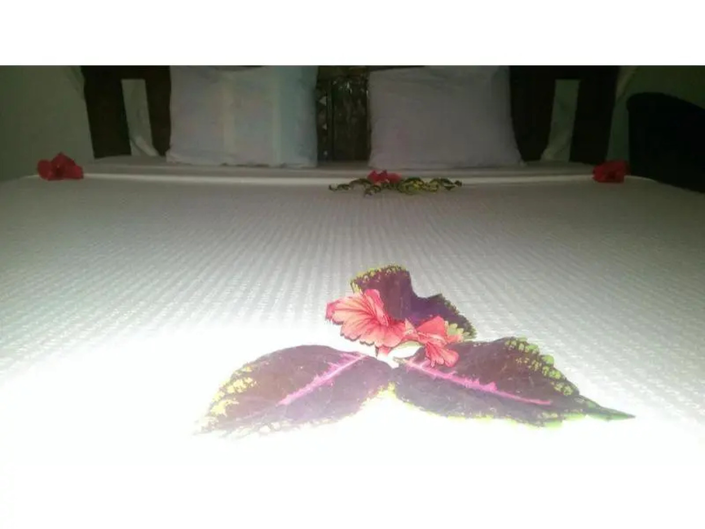 Union Beach Bungalows