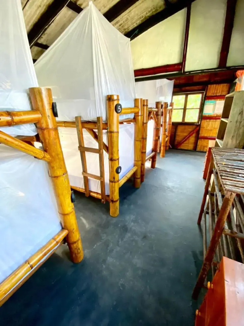 Hidden House Hostel