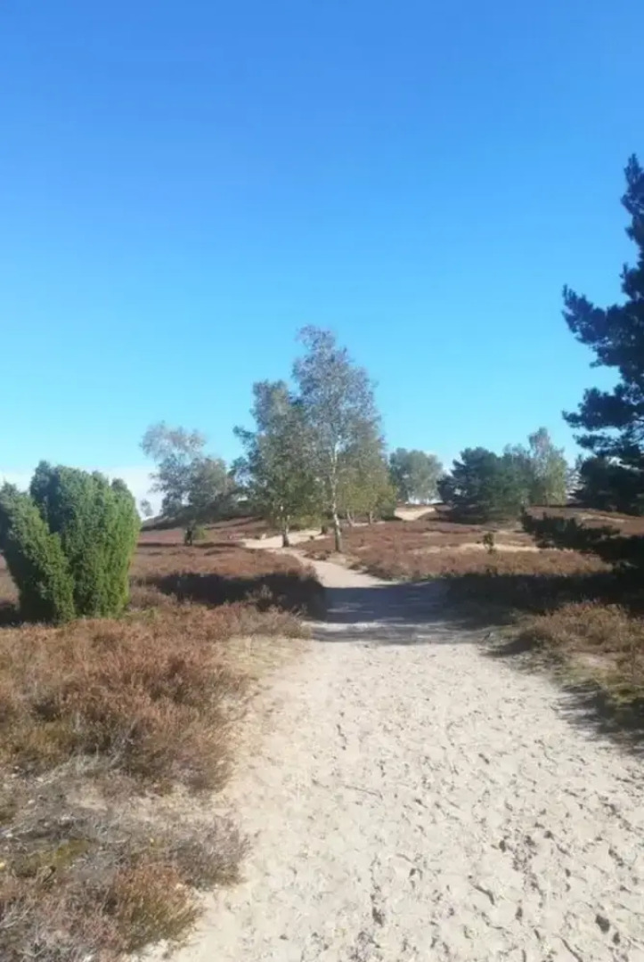 \"the Elf\" Comfortable Holiday Residence