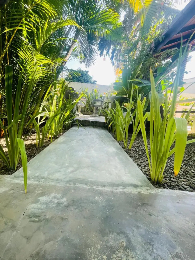 Bougain Villa Sea View