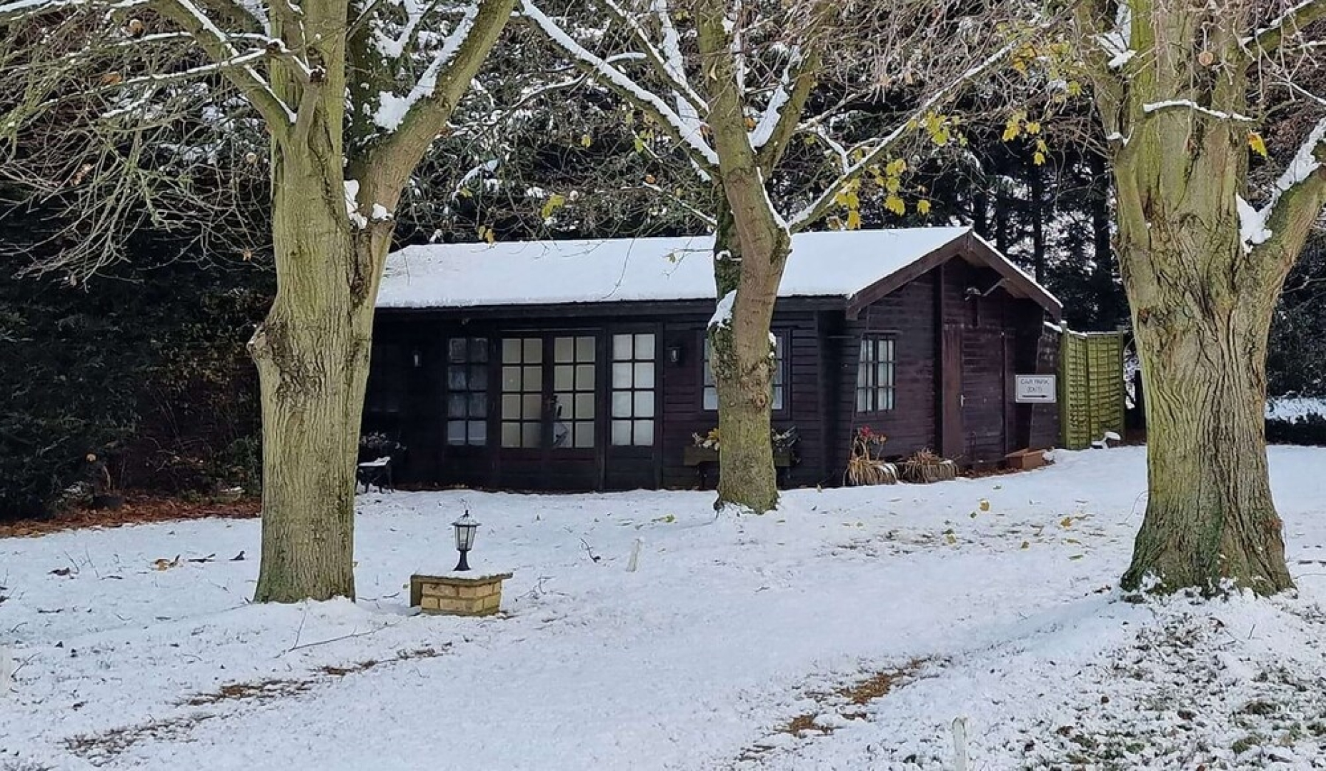 Willow by Paymán Club