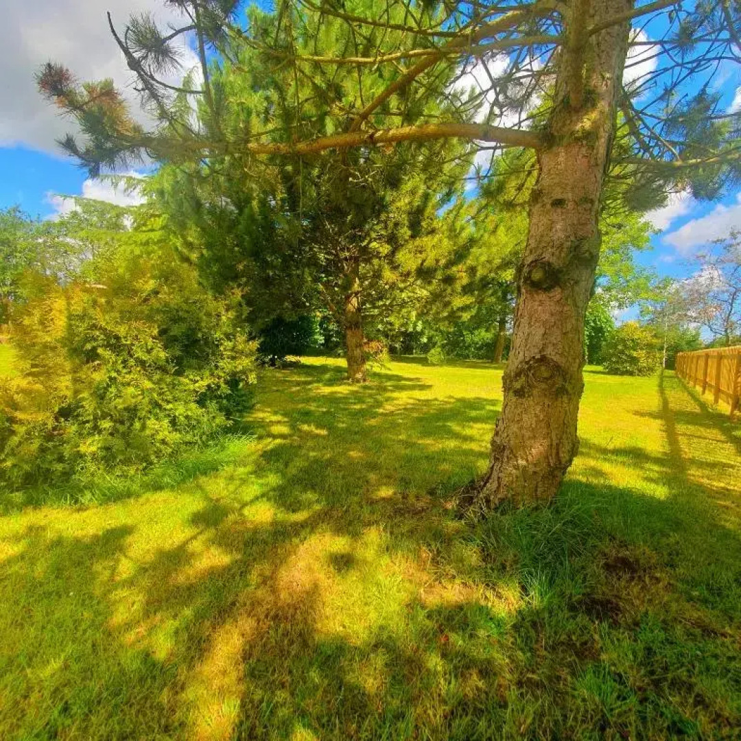 Well Cottage Country Accommodation