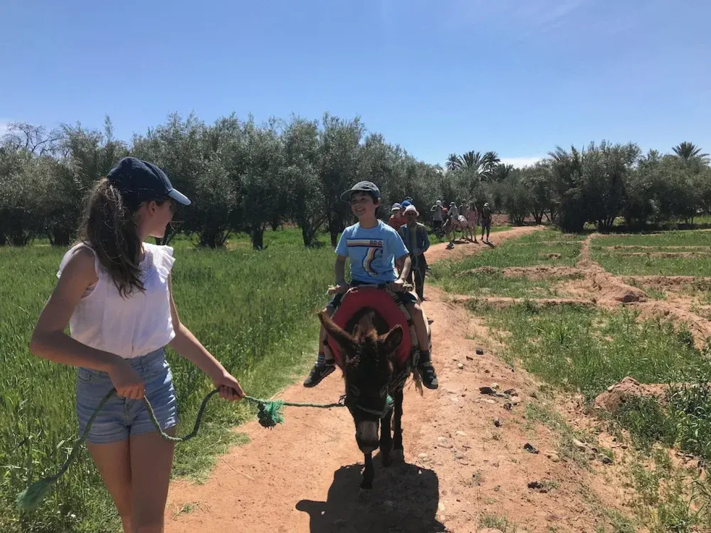 Ecolodge - La Palmeraie