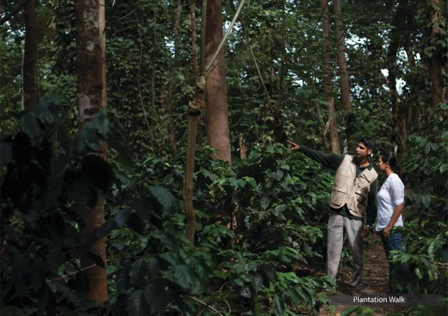 The Serai Chikmagalur