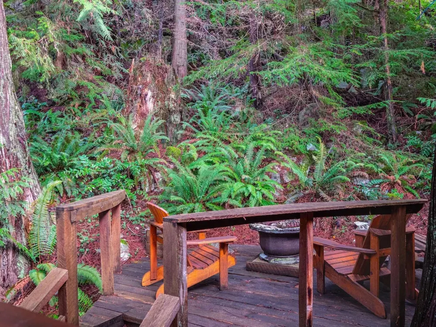 The Tree House Cottage
