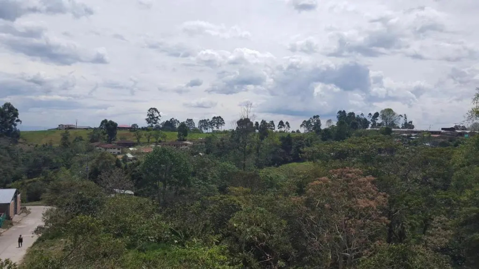 Coffee Tree Boutique Hostel