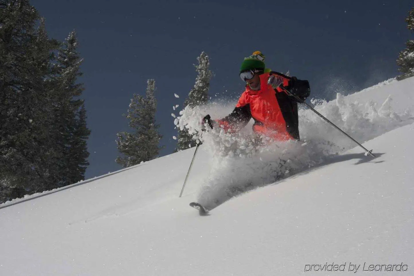 Hampton Inn & Suites Salida