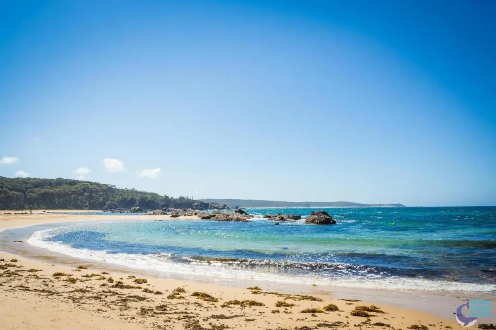 Cherrybush @ Mystery Bay