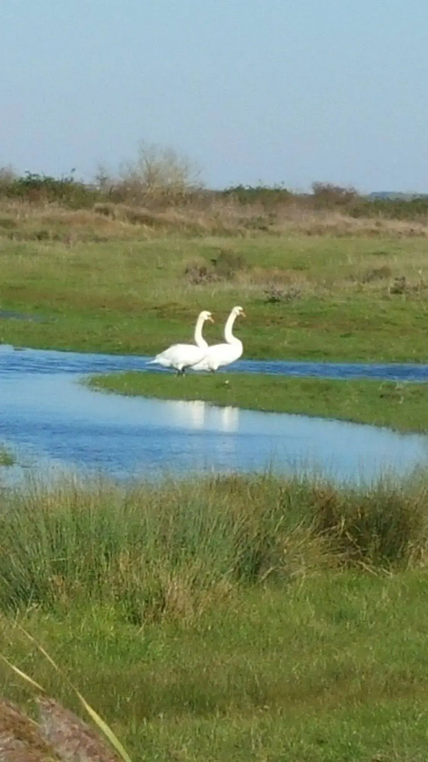 Hôtel Inn Design Rochefort Resto Novo