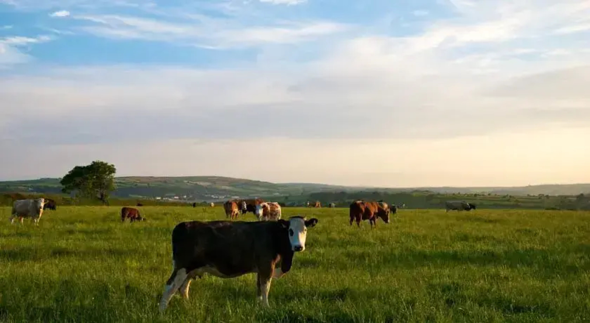 The Glen Country House