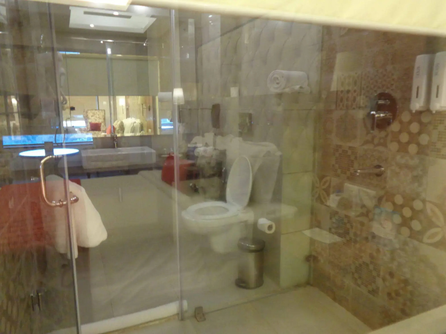 RS Sarovar Portico Palampur