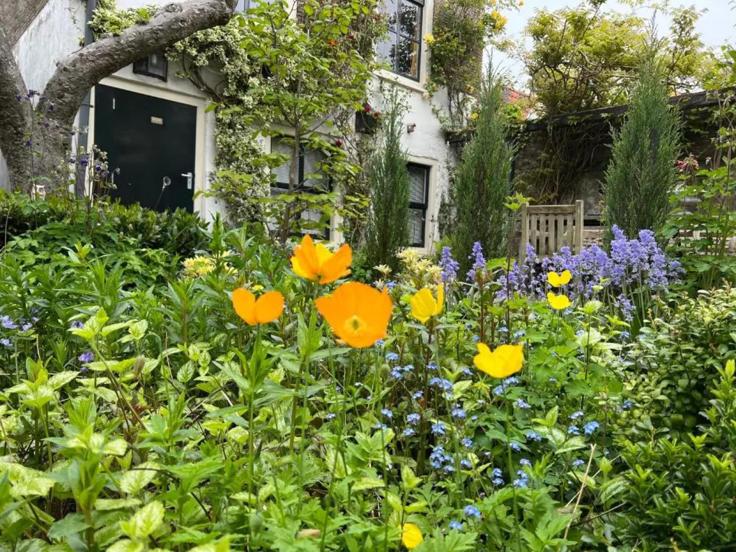 Apple Tree Cottage - discover this charming canal home in our idyllic garden